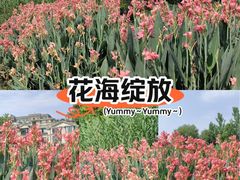 -两河城市森林公园