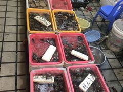 -蛇口市场