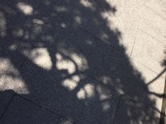 -龙华烈士纪念馆-停车场