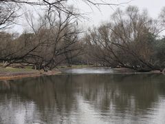 -上海共青森林公园