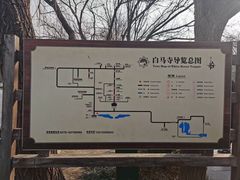 -洛阳白马寺