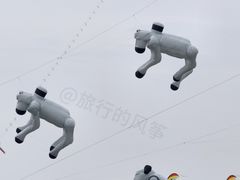 -潍坊滨海云门国际风筝放飞场