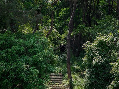 -东湖磨山景区