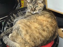 -协和菜馆(凤凰街店)