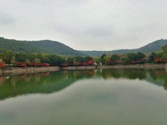 -九龙潭景区