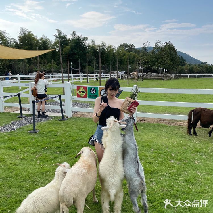 不用去肯尼亚🇰🇪也能和长颈鹿🦒共进早餐呀