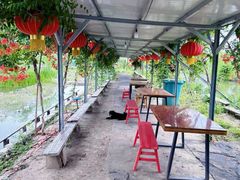 -同銮特种养殖场·龙虾垂钓