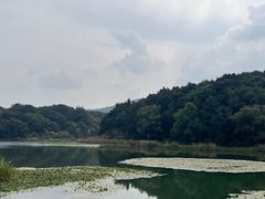 -一江春水·杭帮臻宴(三台山店)