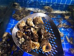 -海韵之星邮轮水会(明发商业广场店)