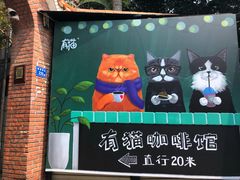 -有猫主题·治愈系猫咖(曾厝垵店)