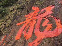 -白云源风景区