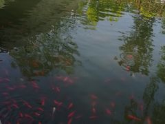 -迎泽公园