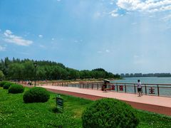 -丁香湖公园
