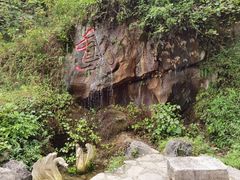 -靖西鹅泉风景区