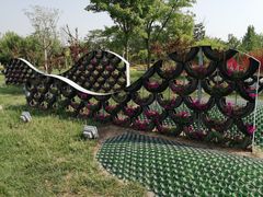 -武清南湖绿博园