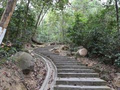 -火炉山森林公园