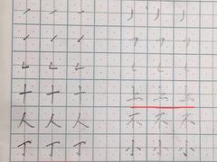 -赵汝飞练字硬笔书法(航头校区)