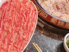 -蜀辣居鲜货老火锅(双流万达店)