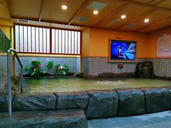 -汤泉良子.足疗按摩.SPA(中关村店)
