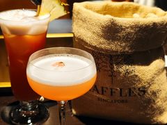 -Long Bar(莱佛士酒店)