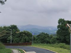 -黄埔油麻山森林公园