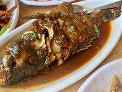 红烧石斑鱼-南海渔家•海鲜•正宗海南菜(海棠湾店)