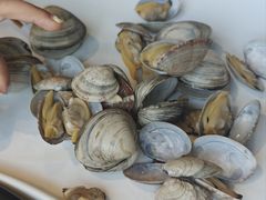 -海味当家·蒸锅海鲜(星海公园店)