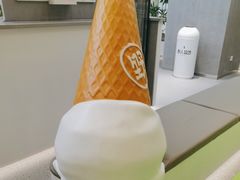 -野人先生现做冰淇淋(北京悠唐购物中心店)