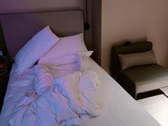 -汉庭(上海世博塘桥地铁站店)