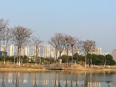 -洋湖国家湿地公园