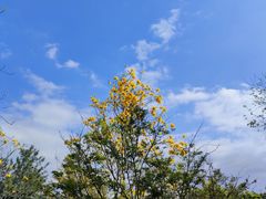 -乌山风景区