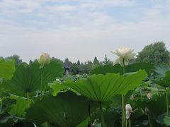 -云龙湖旅游景区