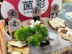 -菌彩云南野生菌火锅(新亚洲店)