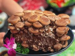 有机松香菇-捞王锅物料理(济南万象城店)