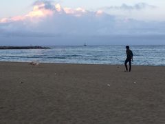 -小巴塞罗那海滩