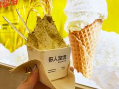 -野人先生现做冰淇淋(西安赛格店)