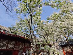 -北京鲁迅博物馆(北京新文化运动纪念馆鲁博馆区)