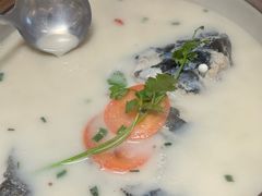 -全乐鱼馆·淳牌有机鱼直营店