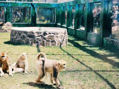 -西安秦岭野生动物园