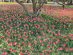 -长春公园(普阳街道)