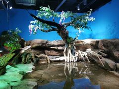 -沙沙哗啦海洋馆(华宇百花谷店)
