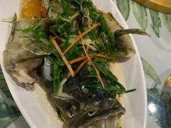 -四姑娘川味海鲜(八爪鱼店)