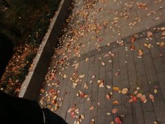 -小杨生煎(周浦万达店)
