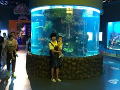 -石家庄海洋公园