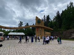 -五营红松林海景区