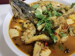 -煲来饱去冷水鱼