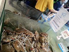-盒马鲜生(曜一城店)