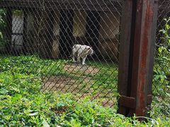 -合肥野生动物园
