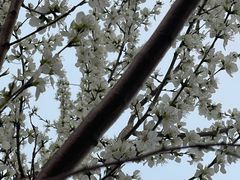 -南开大学(津南校区)