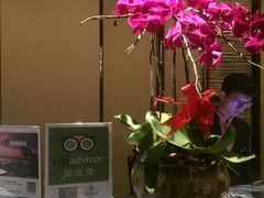 -舟山希尔顿酒店